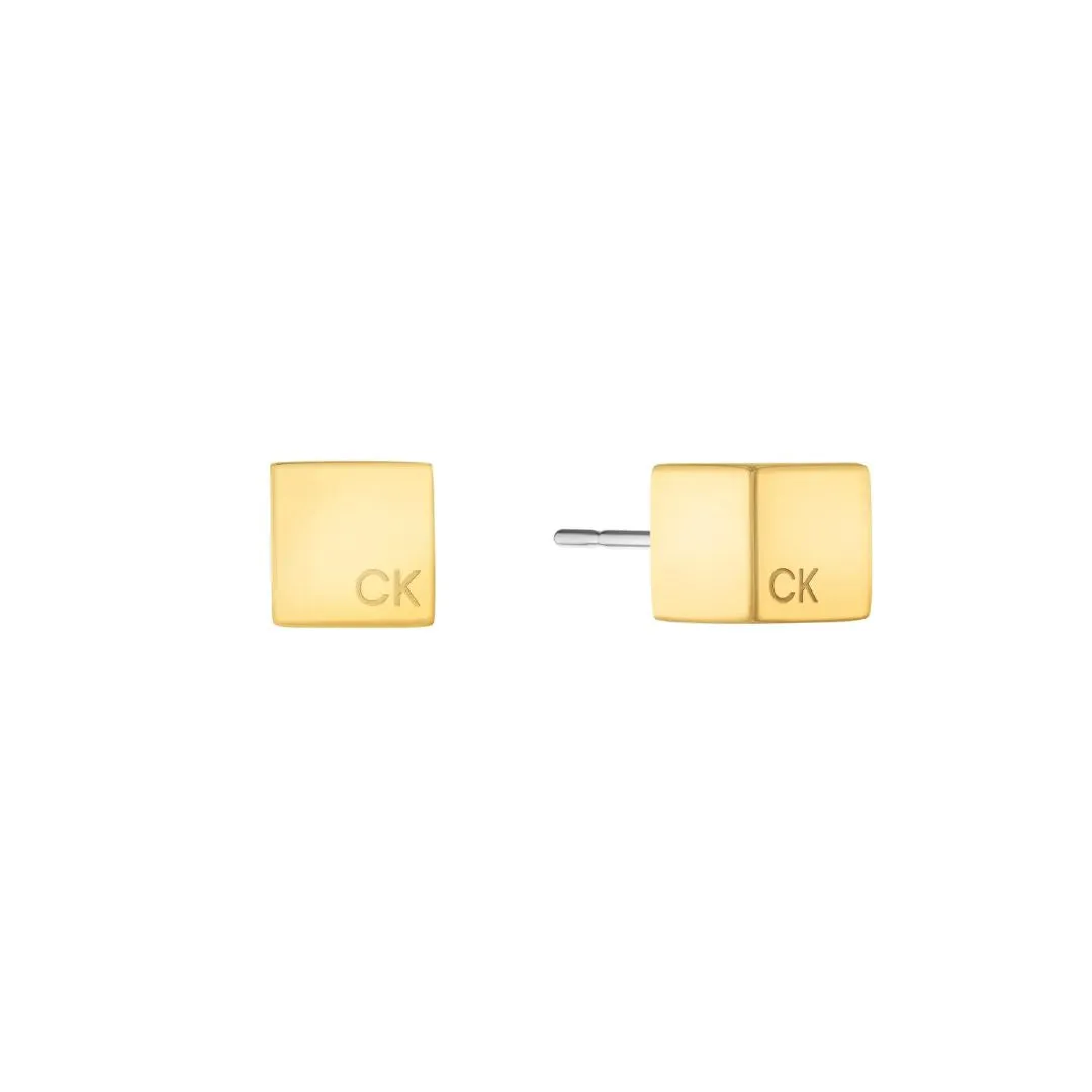 Calvin Klein Earrings Ref : 35000246